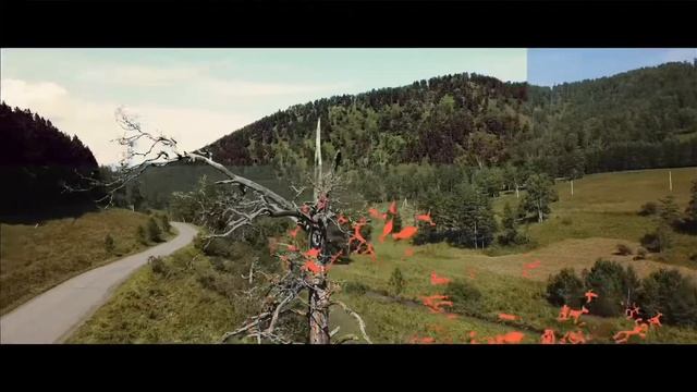 Resonance Altai promo смотреть онлайн