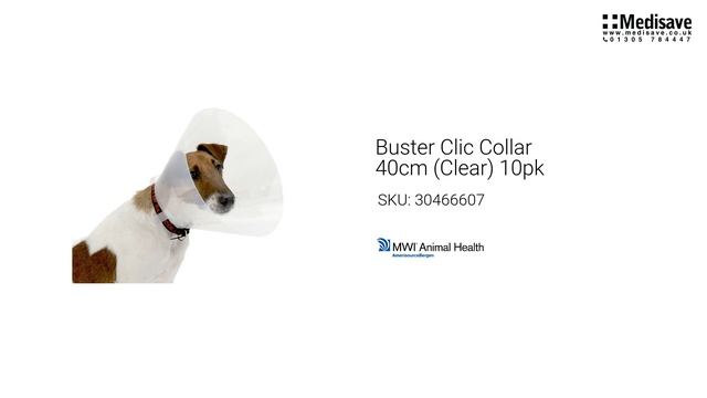 Buster Clic Collar 40cm Clear 10pk 30466607 1920x1080 смотреть онлайн
