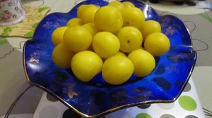 Алыча жёлтая сорт Медовая.