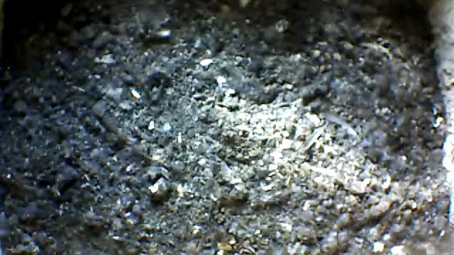 From Internet Camera(Turmfalken[03:1A:A5])2014/06/20,17:48:23_D смотреть онлайн