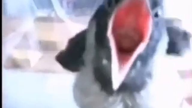 оо АРКАНА АРКАНА АРКАНА