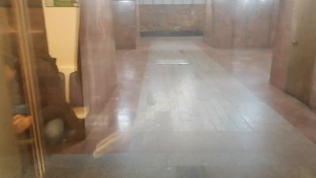 Метро Москва. Менделеевская - Петровско - Разумовская смотреть онлайн