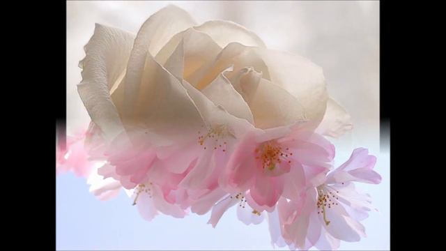 Gerard Butler .Без названия. смотреть онлайн