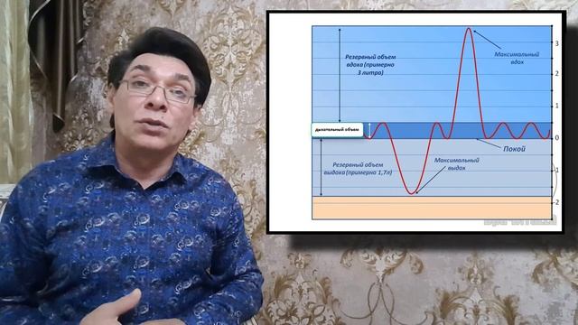 Дыхание 2. Внешнее дыхание. Легочные объемы. Состав вдыхаемого, вдыхаемого и альвеолярного воздуха смотреть онлайн
