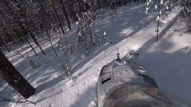 Буран короткий по глубокому снегу. Вариатор Сафари мощнее Альпины! Покатушки в тайге. смотреть онлайн