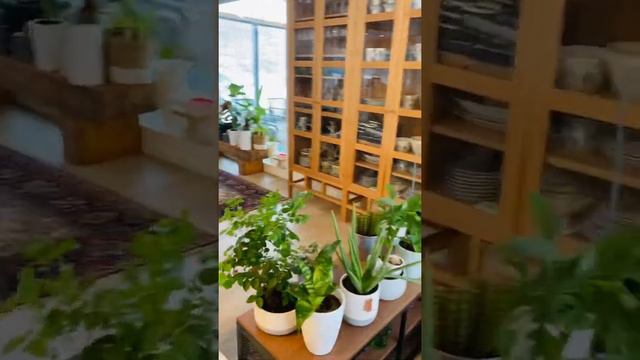 Plant 🌱 Propagation 🪴 смотреть онлайн