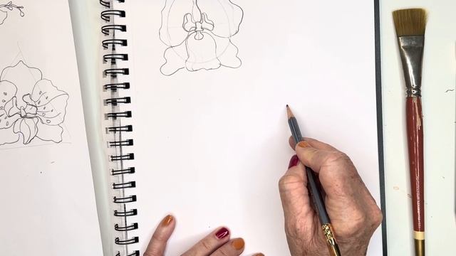Watercolor Orchid drawing part 1 смотреть онлайн