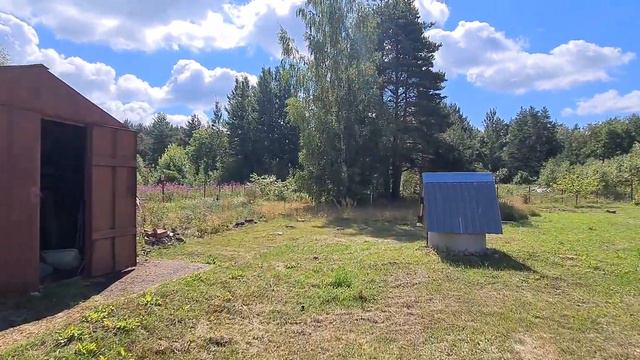 Дом в д. Лавния Ленинградской области смотреть онлайн