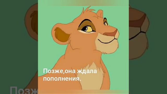 История Аиши. смотреть онлайн