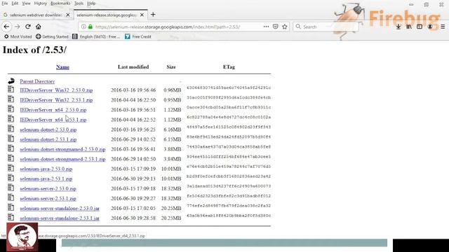 System Requirements For Selenium (Selenium Course) Lecture - 3 смотреть онлайн