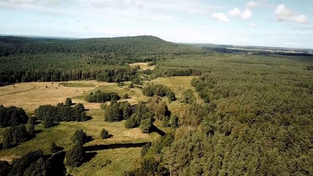 Если бы рыбак знал, чем обернется встреча с голодным рысенком, он бы не думал ни секунды! смотреть онлайн