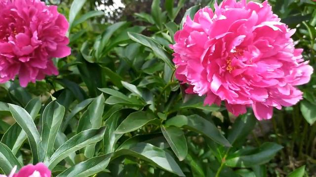 Не оглядывайся назад 1 - 4 серии | Мелодрама 2022 смотреть онлайн