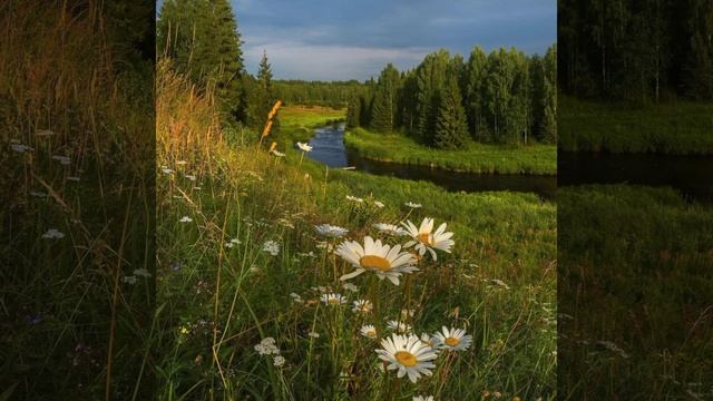 Антонио Вивальди лето июнь(времена года) смотреть онлайн