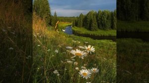 Антонио Вивальди лето июнь(времена года)