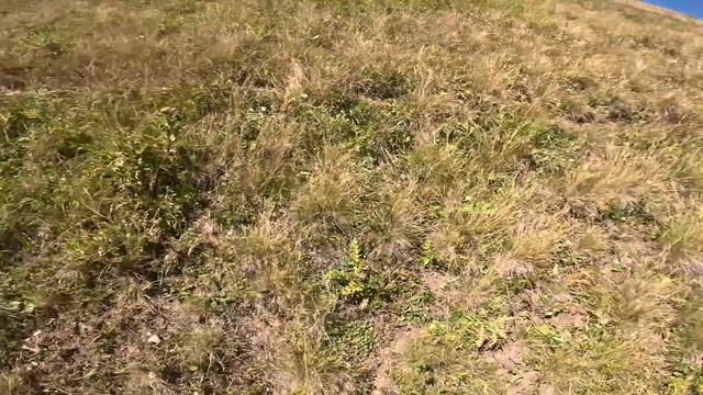 Поездка в Архыз 2023 смотреть онлайн