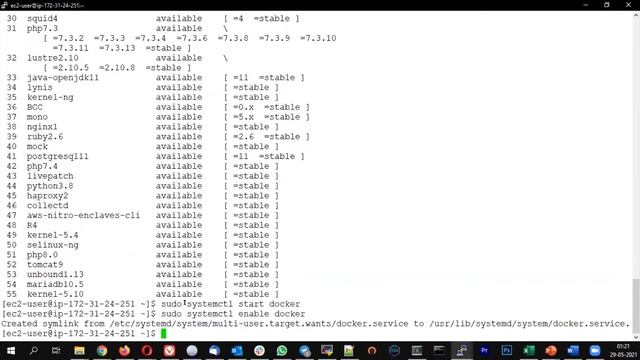 Docker Installation on Amazon Linux | #devops #dockertutorial #amazonlinux смотреть онлайн