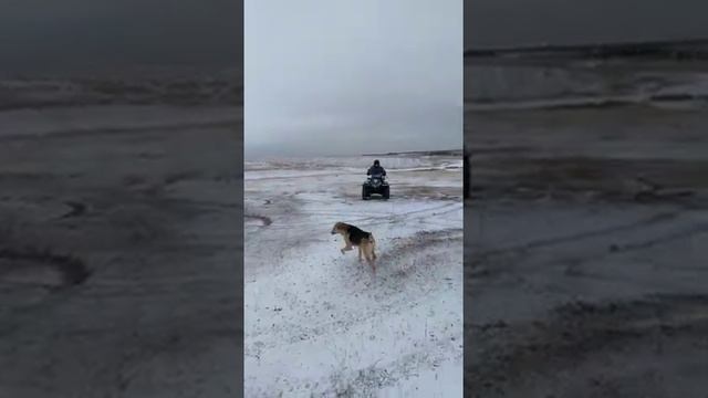 Зимние покатушки на квадроцикле смотреть онлайн
