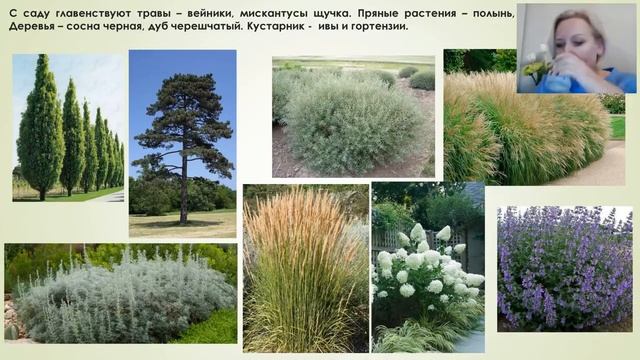 МК Юлии Тадеуш "Концепции садов. Современные цветники в природном стиле" смотреть онлайн