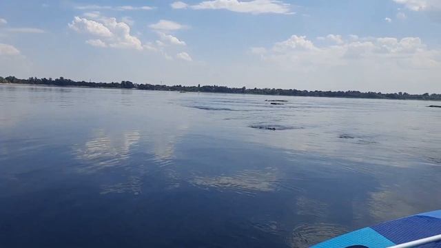 Прогулка на сап вдоль Волжской ГЭС и по островам август 2023г смотреть онлайн