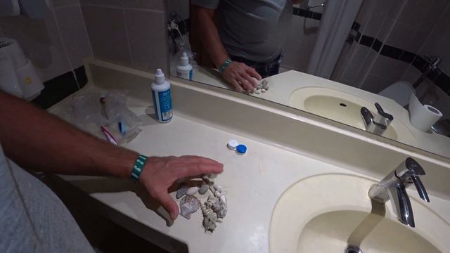 Ракушки Красного моря.