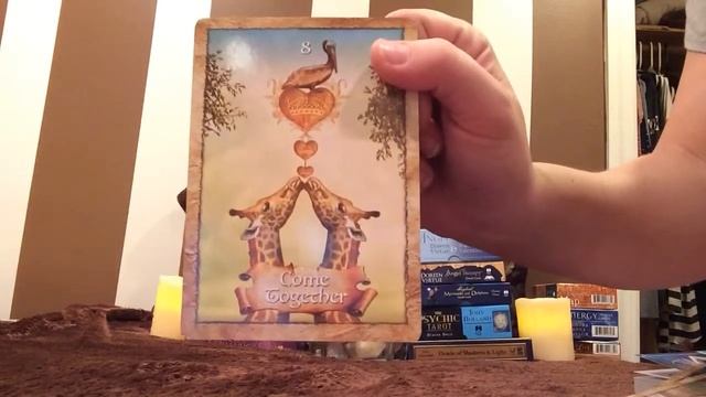 Oracle decks-my favorite 3!! смотреть онлайн
