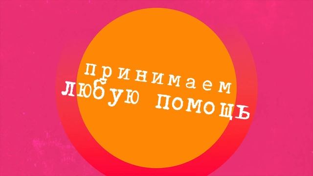 Помощь животным города Хадыженск смотреть онлайн