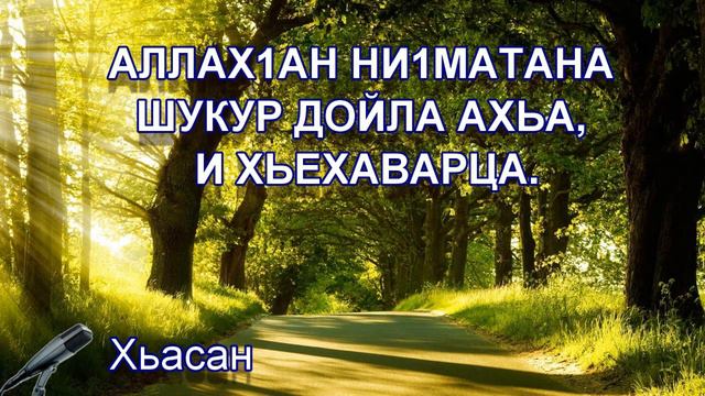 АЛЛАХ1АН ни1матана шукур дойла ахьа, И хьехаварца // Хьасан. смотреть онлайн