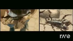 Rain Acapella Инструментов Пу В Мещерина - Pitbull & На Колхозной Птицеферме | RaveDj