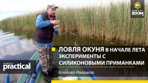 Ловля окуня в начале лета. Эксперименты с силиконовыми приманками. А. Ивашков. Anglers Practical