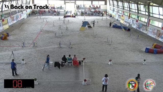 2018 World Agility Championship Штернберг гемблерз смотреть онлайн