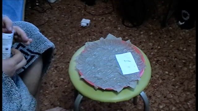 Замачиваем семена для рассады