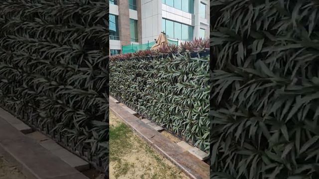 Natural Vertical garden/Bio wall/Green wall Ideas/Garden ideas for home and offices. смотреть онлайн