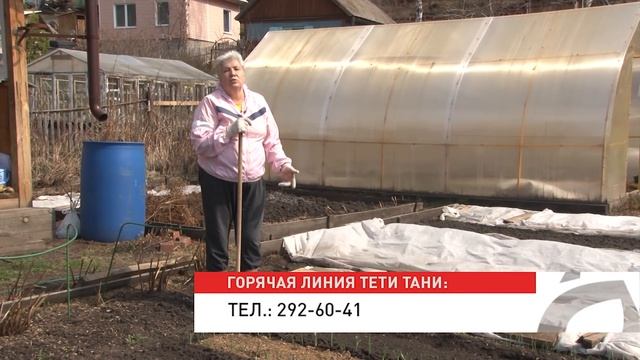 Голова садовая - Почему желтеет чеснок смотреть онлайн