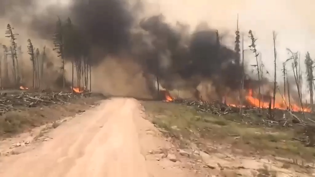 Горит лес смотреть онлайн