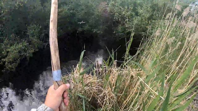 Рыбалка на паук 2022. Офигел от такой рыбалки - караси по 1,5 кг в нано ручье! Ловля рыбы на паук. смотреть онлайн