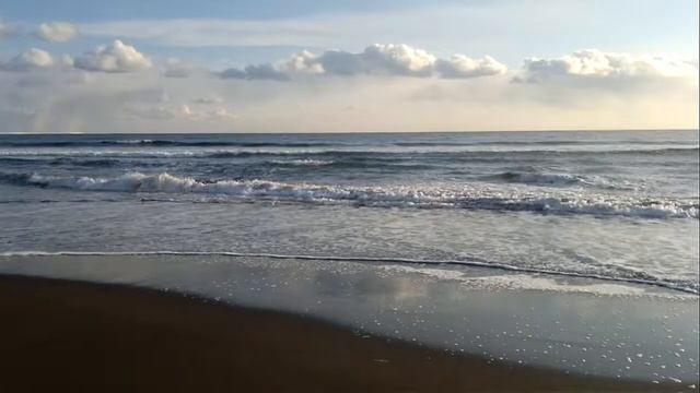 На отливе по пути в Буревестник. Итуруп 2012.mp4 смотреть онлайн