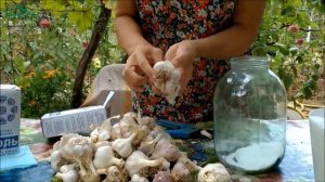 Как хранить ЧЕСНОК в городской квартире - 7 дач