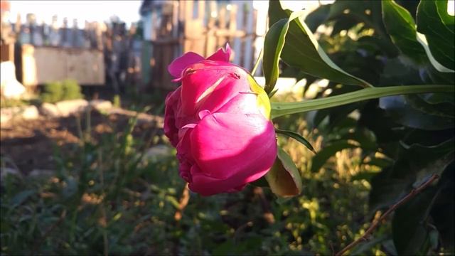 Отношения PR и СМИ смотреть онлайн