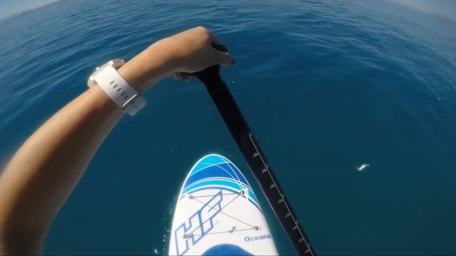 Как кататься на SUP борде смотреть онлайн