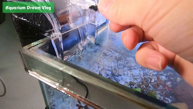 AQUARIUM MINI SETUP with Water Purifier - Aquarium Dream Vlog #3 смотреть онлайн
