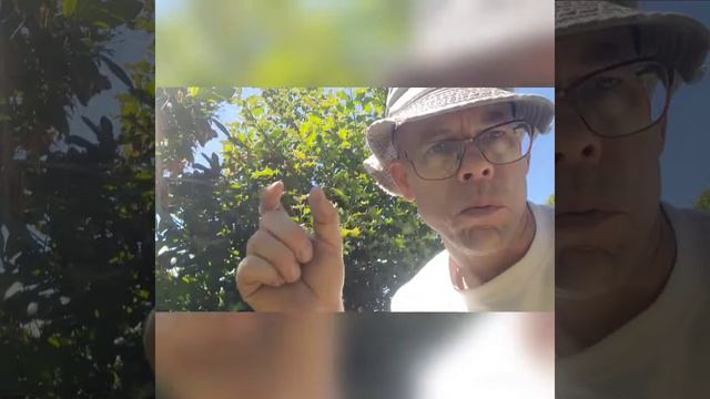 Yard waste, soil, water, a bucket and a stinky wonderful result! May 29, 2021 смотреть онлайн