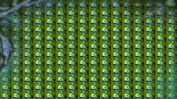 Бандерлоги. Bandar-log. Composer & performer Vladimir Krylov.