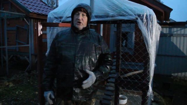 Первое правило хорошей яйценоскости у кур зимой. смотреть онлайн