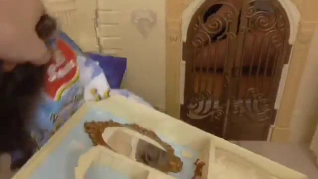 Комедия Монстр Хай#2 смотреть онлайн