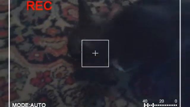 Мастерство в Творчестве