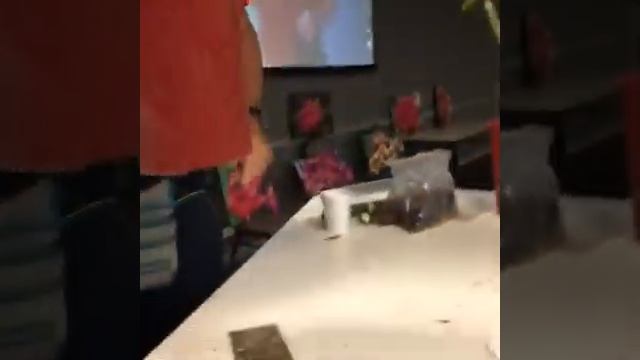 Grafting Frangipani/Plumeria смотреть онлайн