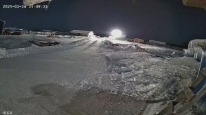 Волки напали на собак в селе Вотча/ видео не для слабонервных