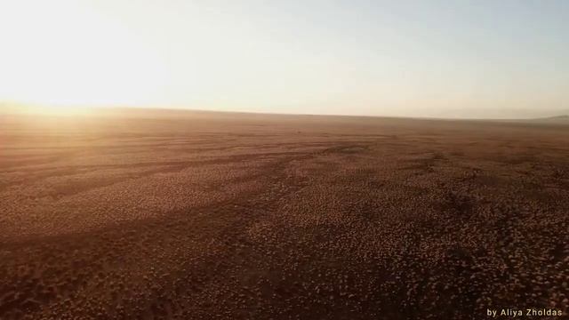 ALTYN EMEL National Park|АЛТЫНЕМЕЛ Ұлттық саябағы