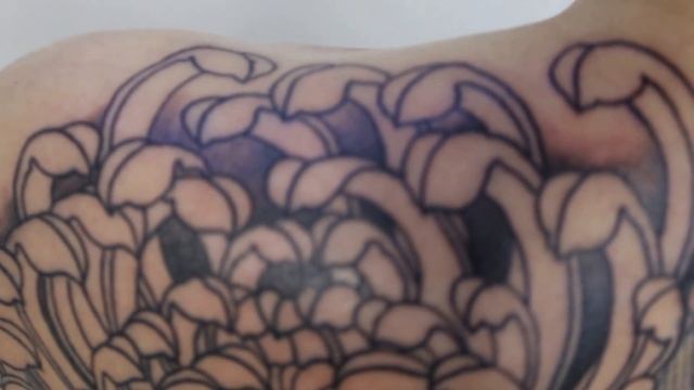 Японская татуировка в процессе,хризантема #Chavatattoo / irezumi in progresse смотреть онлайн
