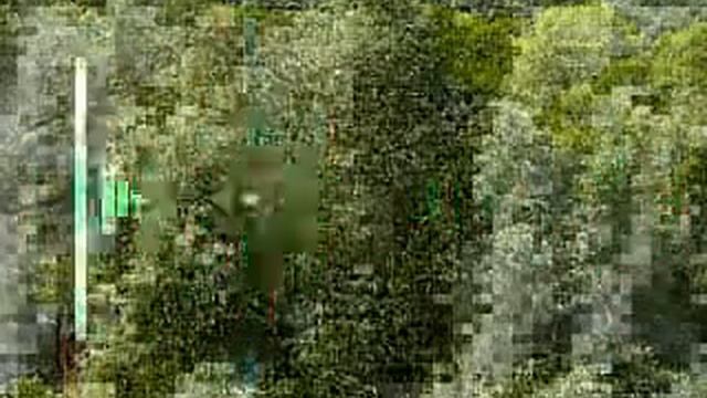 КОРА БЕЛОЙ ИВЫ ЦЕЛЕБНЫЕ СВОЙСТВА И РАЗЖИЖЕНИЕ КРОВИ смотреть онлайн